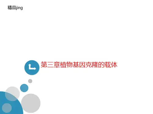 第三章植物基因克隆的载体-课件