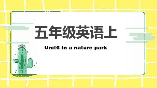 人教PEP版英语五年级上册Unit 6 In a nature park复习课件