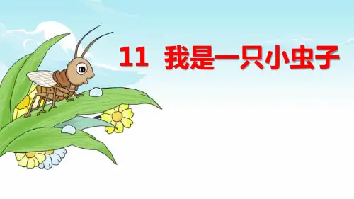 人教部编二年级语文下册《我是一只小虫子》PPT课件