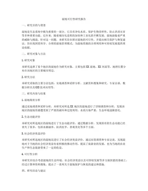 湿地可行性研究报告