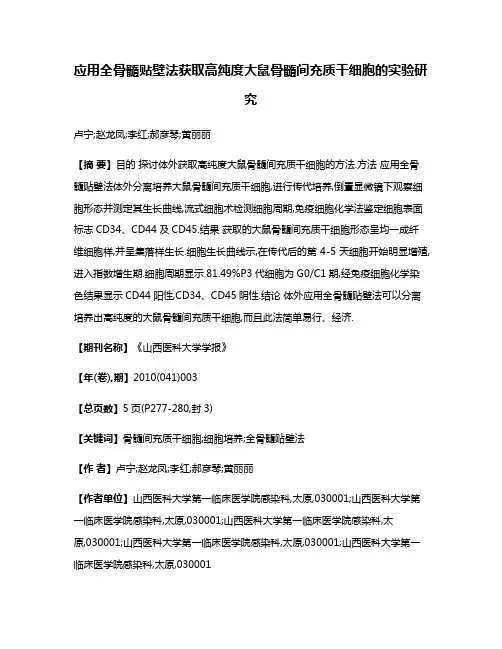 应用全骨髓贴壁法获取高纯度大鼠骨髓间充质干细胞的实验研究