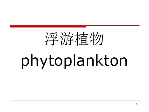 1 藻类概述