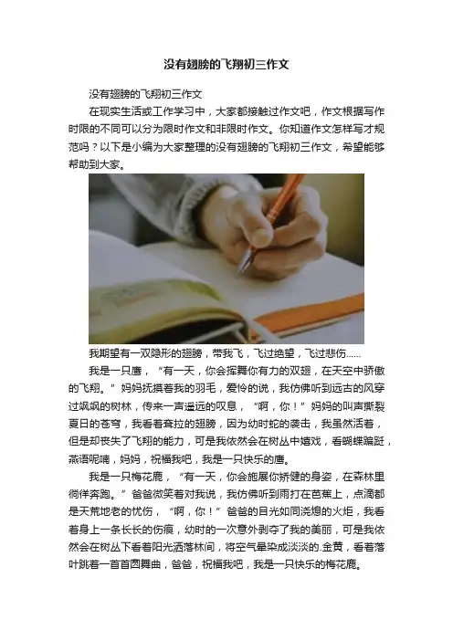 没有翅膀的飞翔初三作文