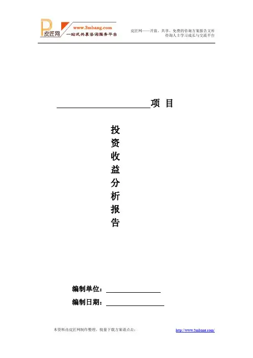 项目投资收益分析报告模板.doc