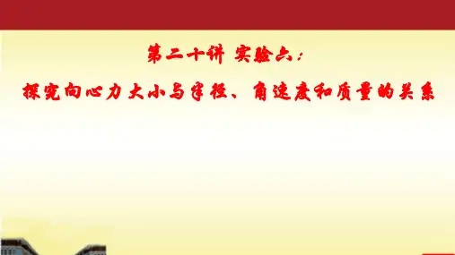 2022届高考物理一轮复习 第20讲 实验六：探究向心力大小与半径、角速度和质量的关系 课件