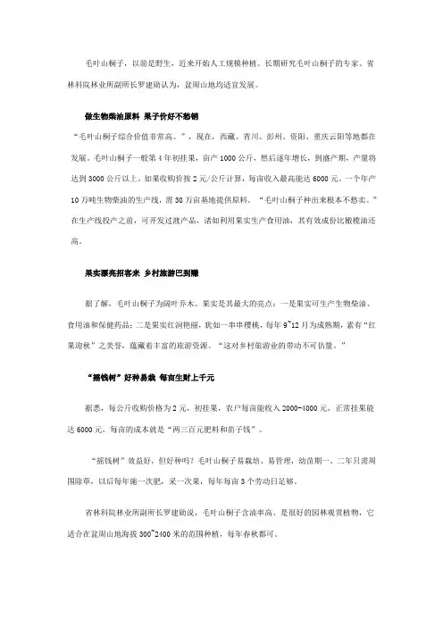 野生变家种 毛叶山桐子价值高 每亩生财上千元