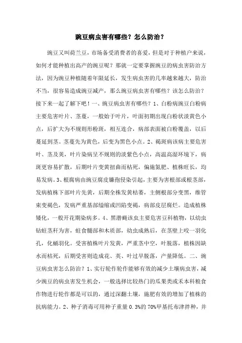 豌豆病虫害有哪些？怎么防治？
