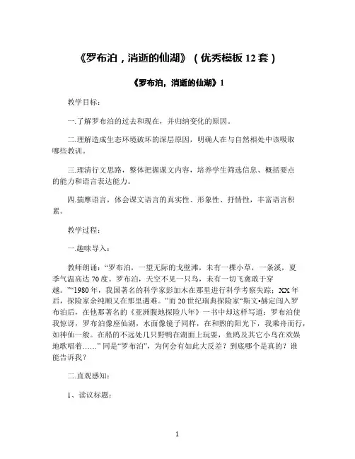 《罗布泊,消逝的仙湖》(优秀模板12套)