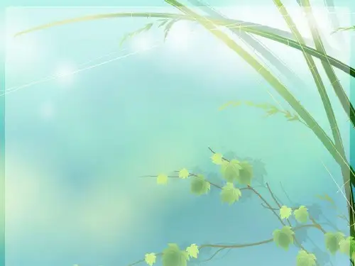 高一生物光合作用的过程PPT课件 图文