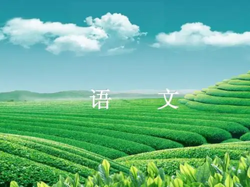 2015年中考语文总复习精品课件(浙江专用)： 第二篇 积累与运用 专题五 标点符号 新人教版