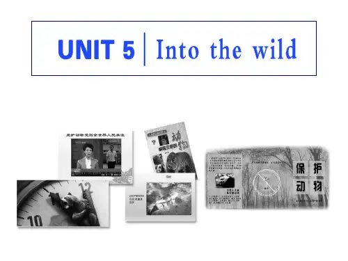 外研版高中英语必修一《Into the wild》Section V PPT课件