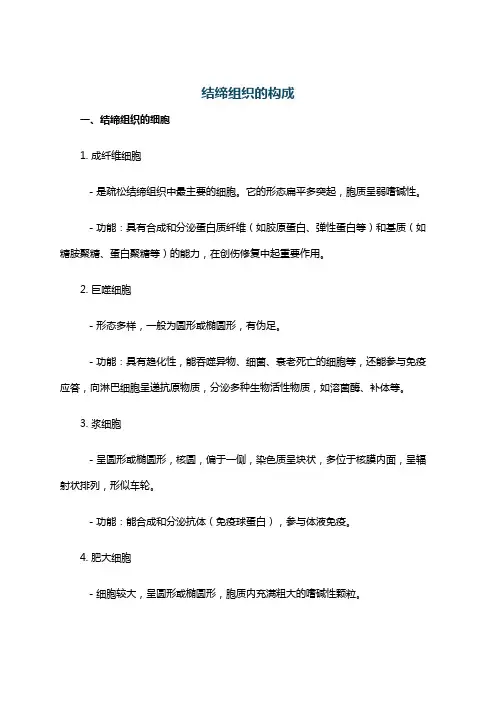 结缔组织的构成