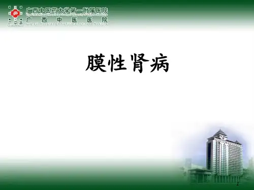 膜性肾病ppt课件