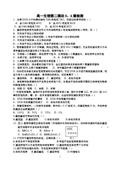 第二模块5、6章检测