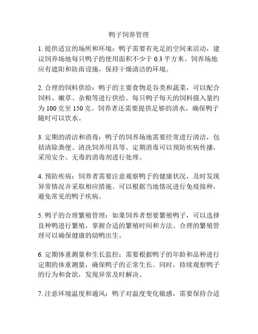鸭子饲养管理