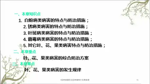 园林病害防治园林植物叶花果病害课件
