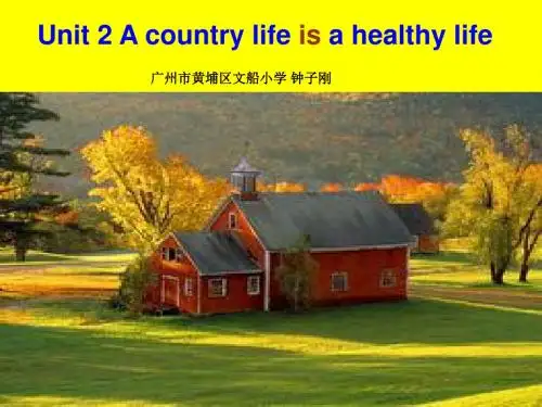 广州版英语六年级上册Unit 2《a country life is a healthy life》课件3