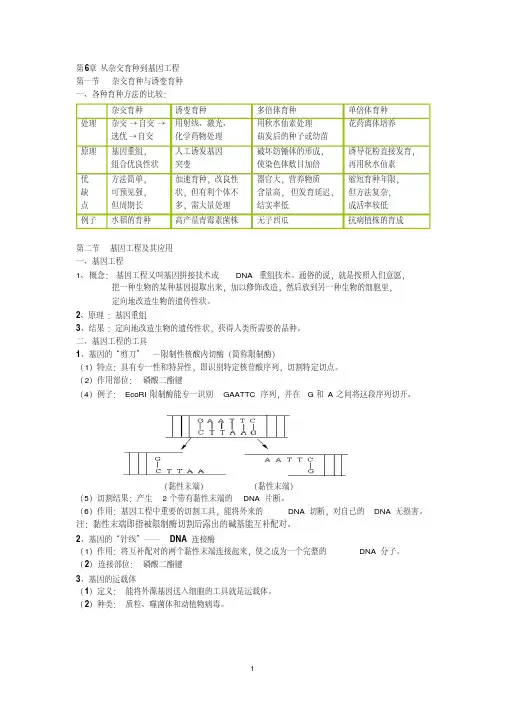 高中生物必修二第六章