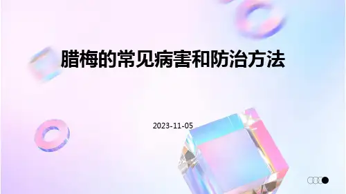 腊梅的常见病害和防治方法