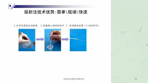 胶体金快速免疫诊断技术课件