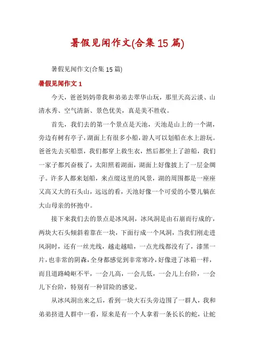 暑假见闻作文(合集15篇)