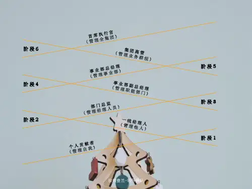 拉姆查兰-领导梯队