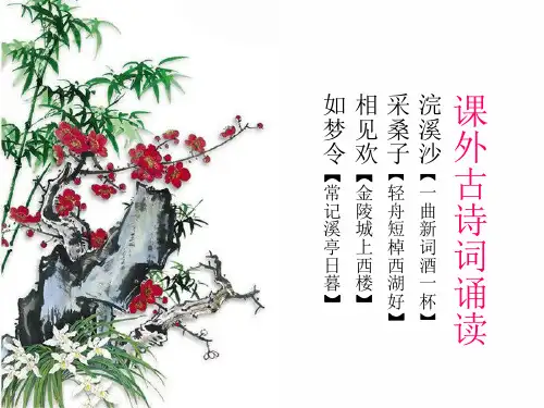 部编本八年级上册人教版语文课外古诗词诵读《浣溪沙》《采桑子》《相见欢》《如梦令》