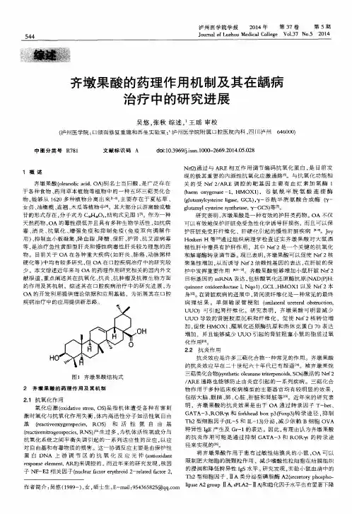 齐墩果酸的药理作用机制及其在龋病治疗中的研究进展