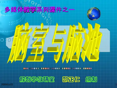 《脑室与脑池》PPT课件