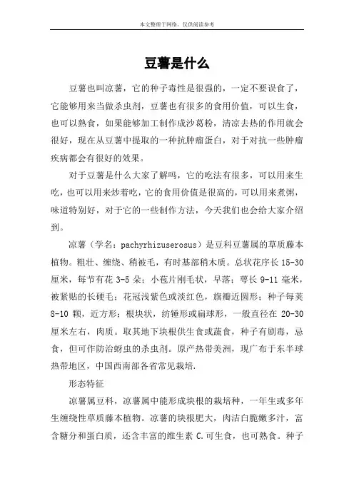 豆薯是什么