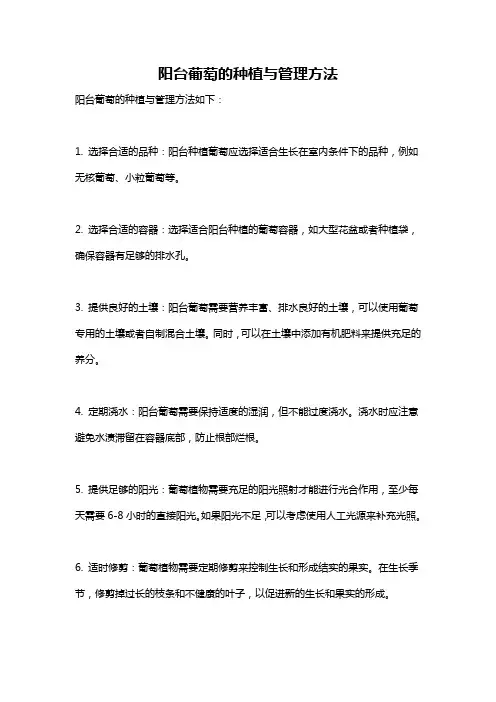 阳台葡萄的种植与管理方法