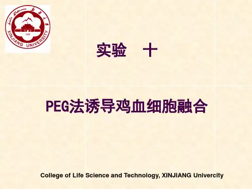 实验十 PEG法诱导鸡血细胞融合