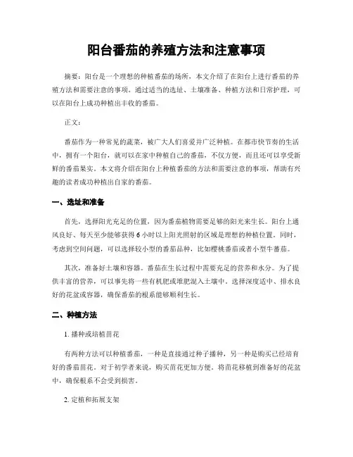 阳台番茄的养殖方法和注意事项