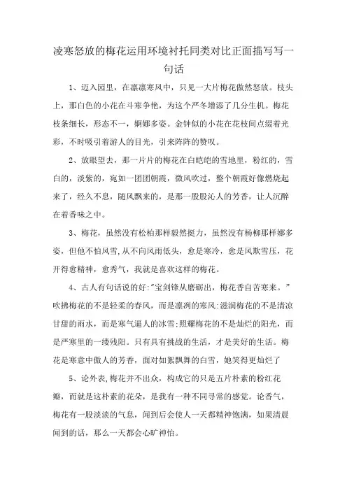 凌寒怒放的梅花运用环境衬托同类对比正面描写写一句话