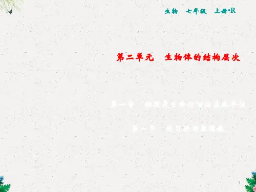 人教版生物七年级上册习题课件：第2单元 第1章 第1节 练习使用显微镜(共18张PPT)