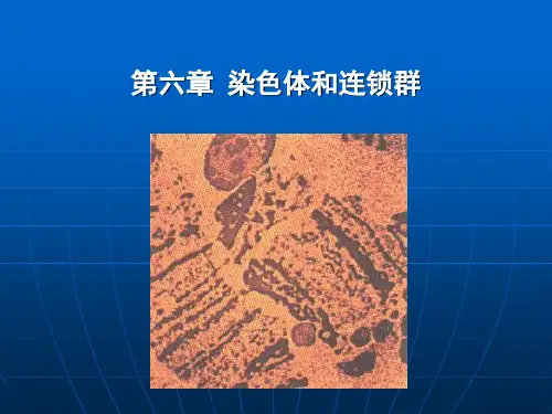 第六章连锁遗传分析和染色体作图