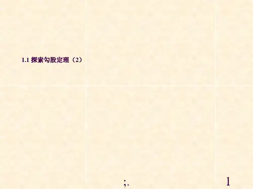1.1_探索勾股定理(2)ppt课件