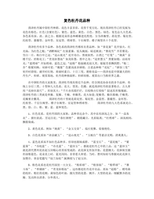 复色牡丹花品种