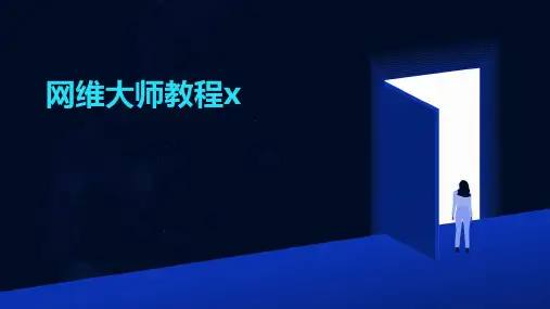 网维大师教程x2024新版