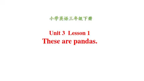 小学英语三年级下册  Unit 3  Lesson 1  These are pandas.