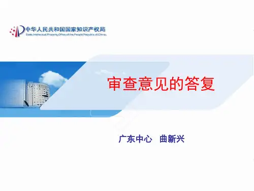 专利申请文件 审查意见的答复