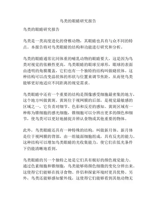 鸟类的眼睛研究报告