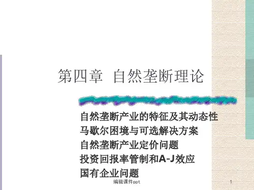 《自然垄断理论》PPT课件