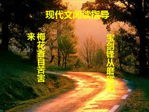 中考语文现代文阅读指导-PPT课件