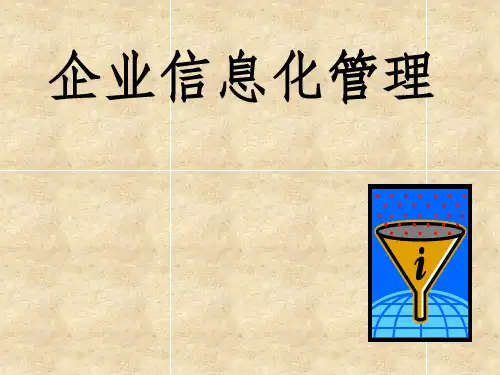 企业信息化管理(非常实用)ppt课件