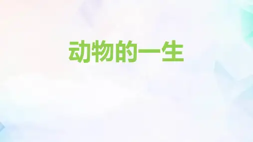 教科版三年级下册科学《动物的一生》教学说课课件