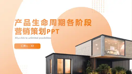 打造爆款：产品生命周期各阶段营销策划PPT