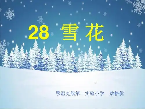 28雪花课件2