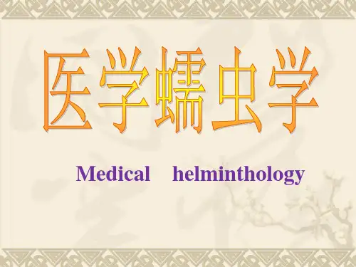 人体寄生虫学课件 绦虫概论及猪牛绦虫课件