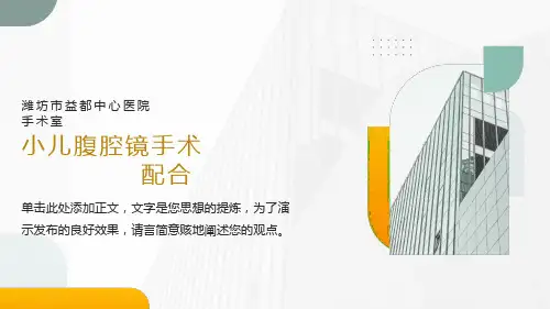 小儿腹腔镜阑尾切除